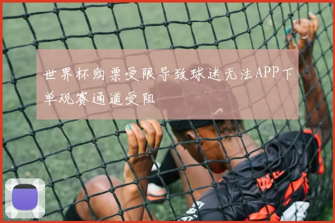 世界杯购票受限导致球迷无法APP下单观赛通道受阻